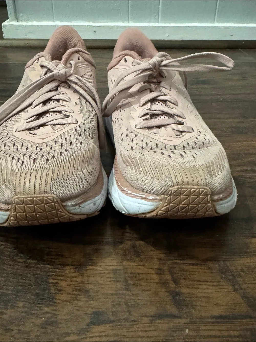 Dusky Rose Hoka Clifton 9